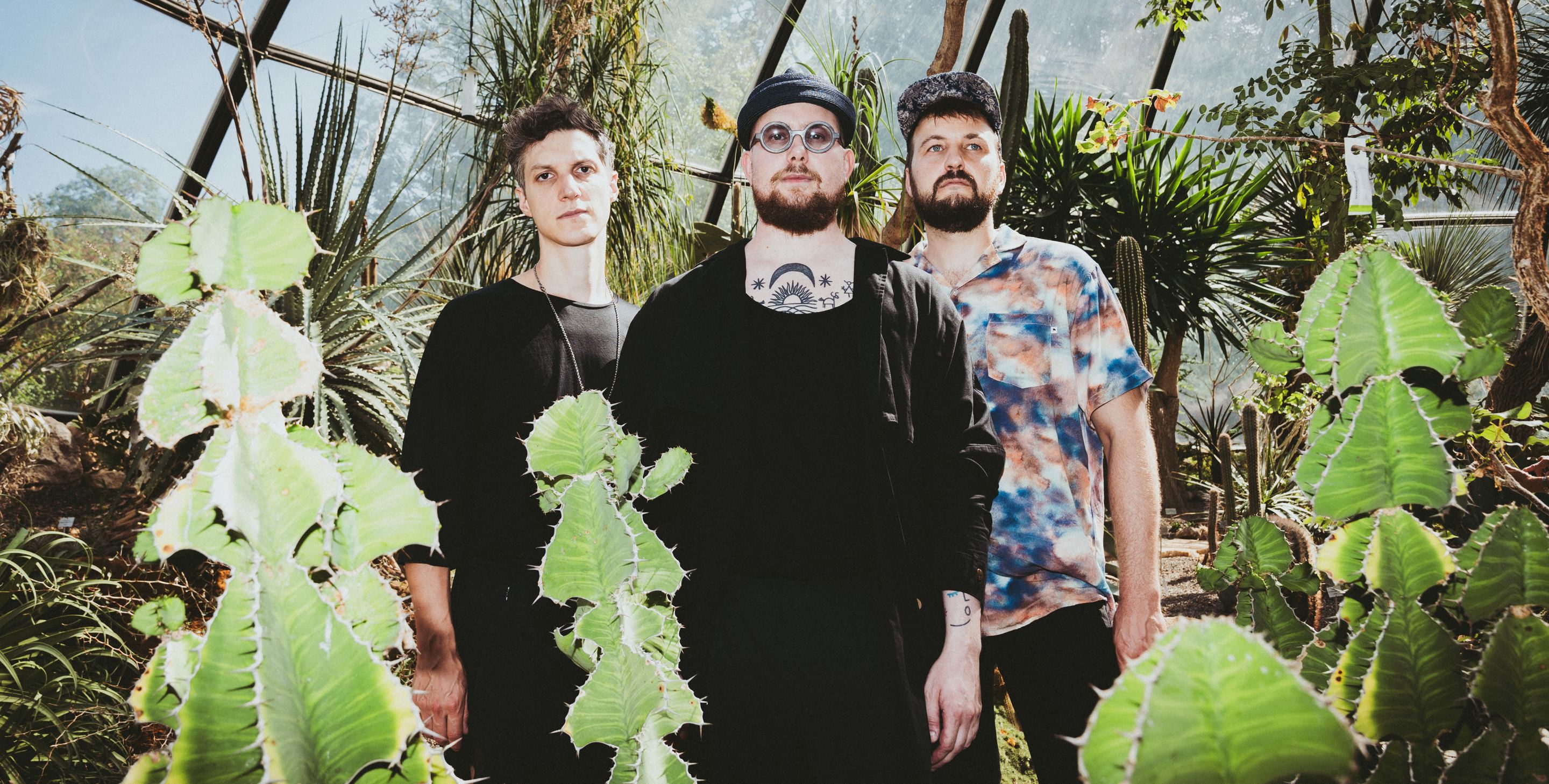 Quiet Tree Coverbild