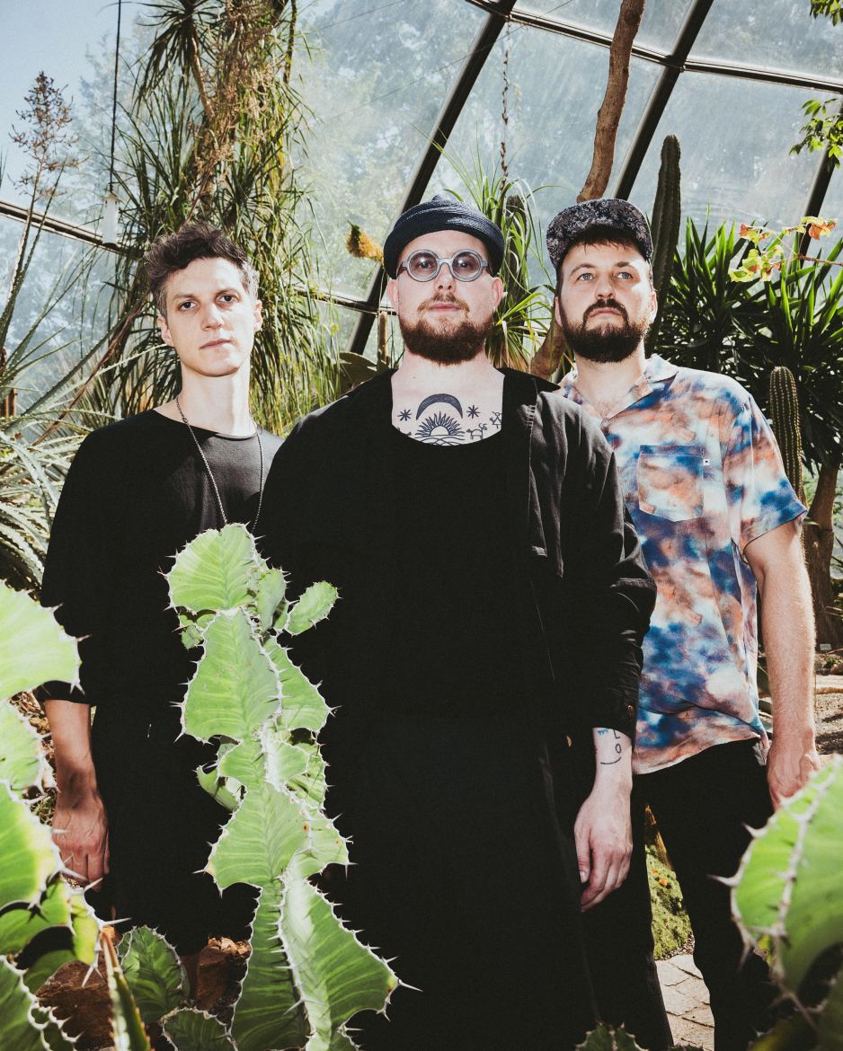 Quiet Tree Coverbild