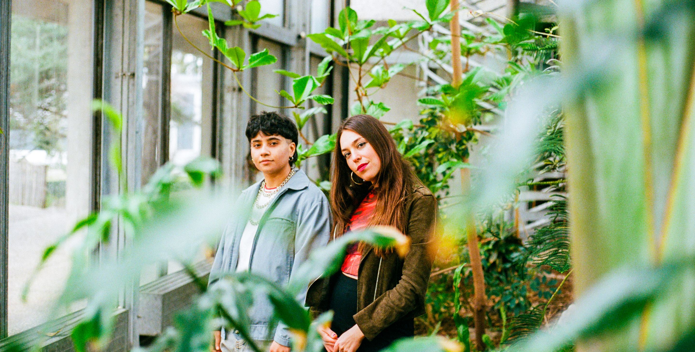 Roshâni Coverbild
